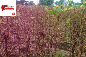 agriculture has been affected