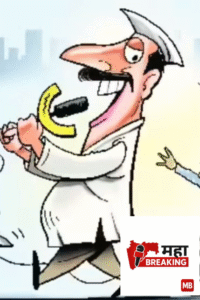 District Council elections