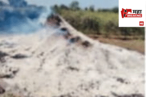 Fire breaks out in soybean