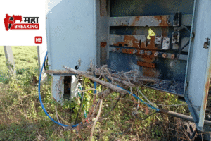 Electricity distribution company's