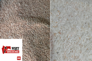 substandard ration grains continues,