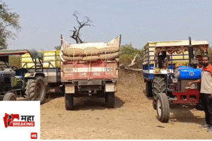 Maize procurement suspended