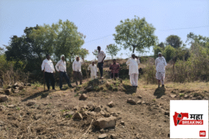 Sudden Sighting of a Leopard