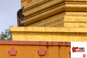 Lightning Strikes Dongav