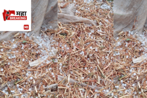 Battered by Hailstorm