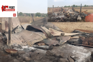 Lightning Strikes Cattle Shed
