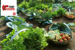 Chhatrapati Shivaji Vidyalaya