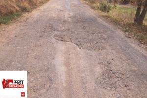 Dhamangaon to Masrul