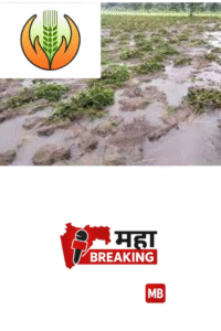 first phase of the Crop Insurance Scheme