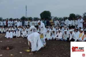 all crops are plagued by disease