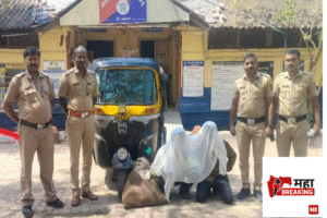 Illegal Meat Transport