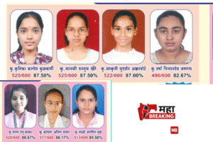 Deulgaon Raja High School