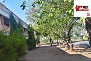 Sharad Pawar Junior College