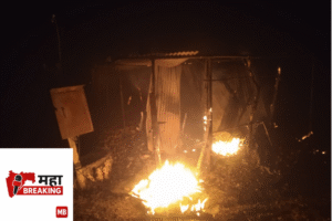 Onion forty fire