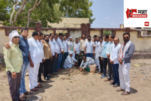 Tree plantation