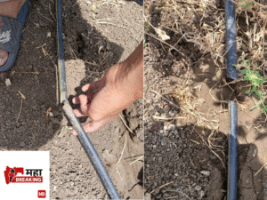 Drip irrigation pipes