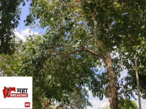 Village Jambhu