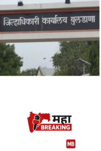 Additional Tehsildar