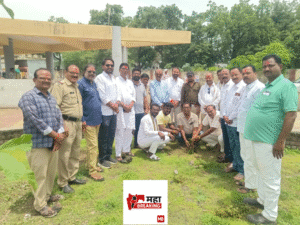 Tree plantation