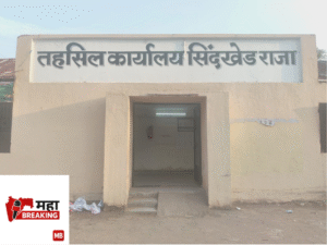 Sindkhed Raja Tehsils