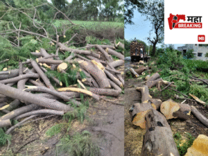 Theft of iron rods