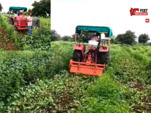 Farmers