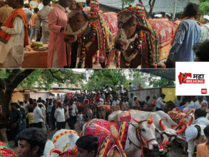 Pola festival