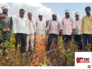 Farmers