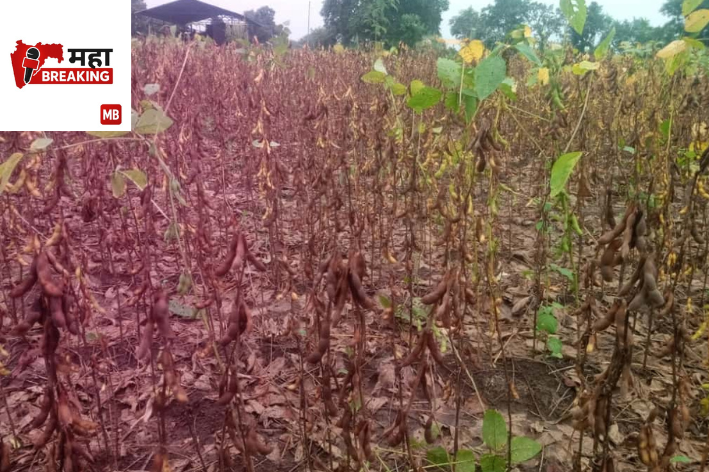 agriculture has been affected