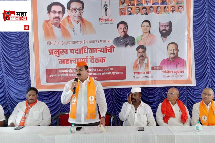 local body elections