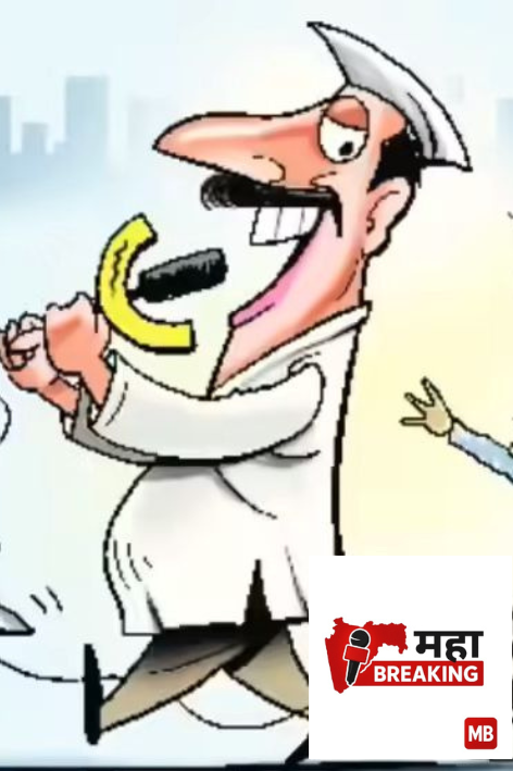 District Council elections