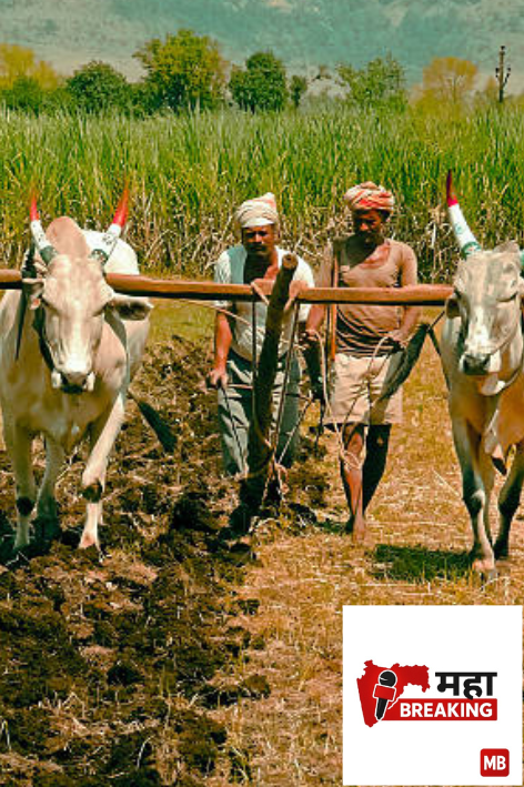 74 hectares of agricultural