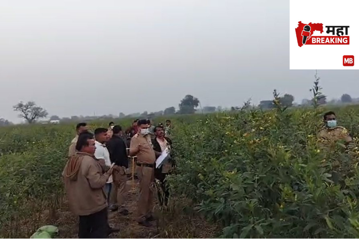 Partially burnt body