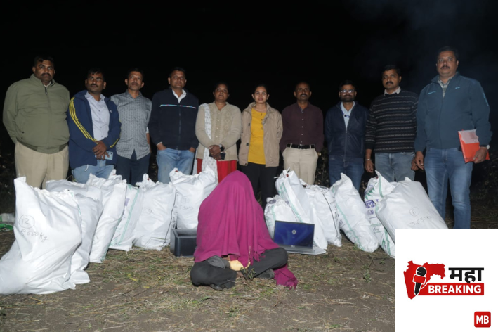 Ganja was cultivated in a pigeon pea field; contraband worth ₹12.52 thousand was seized, and one person was arrested.