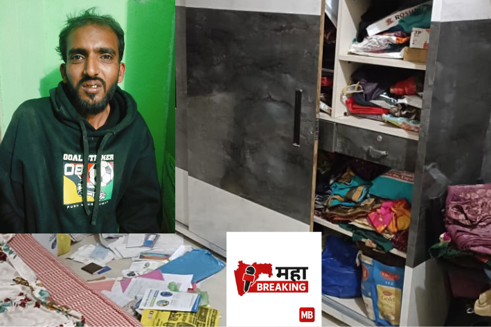 Daytime burglary attempt