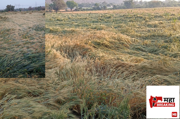  farmers face a crisis