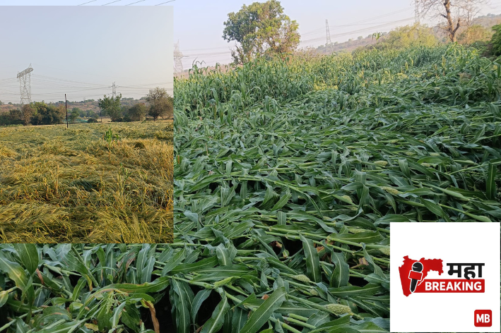 Agriculture Devastated by Hailstorm