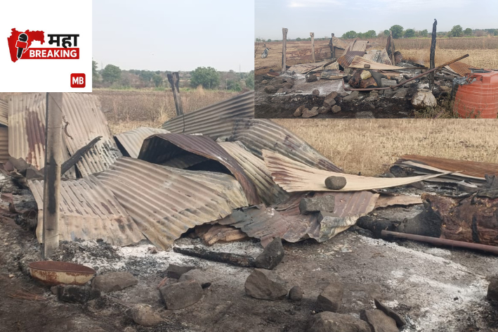 Lightning Strikes Cattle Shed