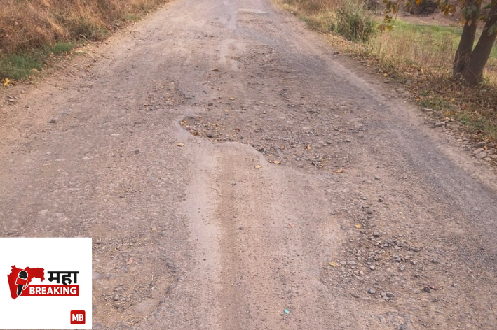 Dhamangaon to Masrul