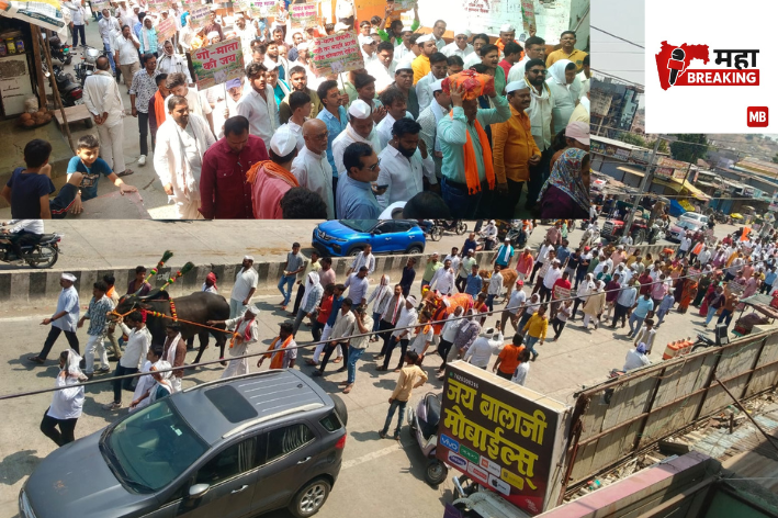 Grand Rally for Cow Protection