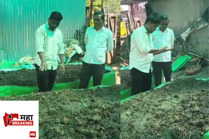 The use of vermicompost