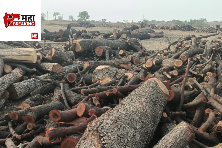 Forest Department Launches Crackdown