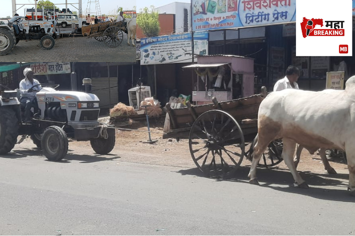 Hit by Diesel Shortage