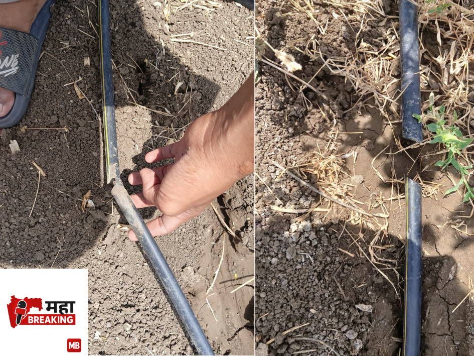 Drip irrigation pipes
