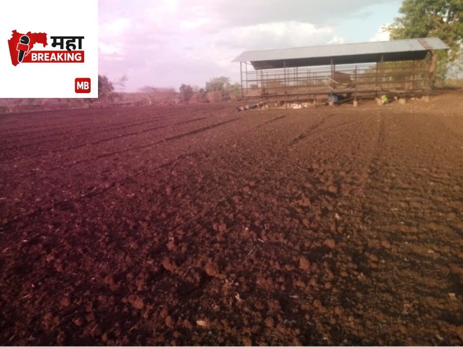 Fields lie desolate