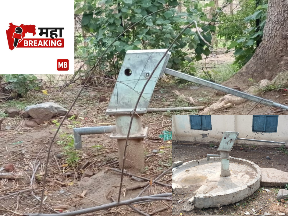Both handpumps