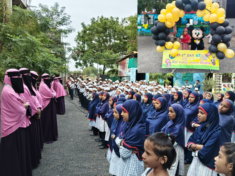 Ali Public School