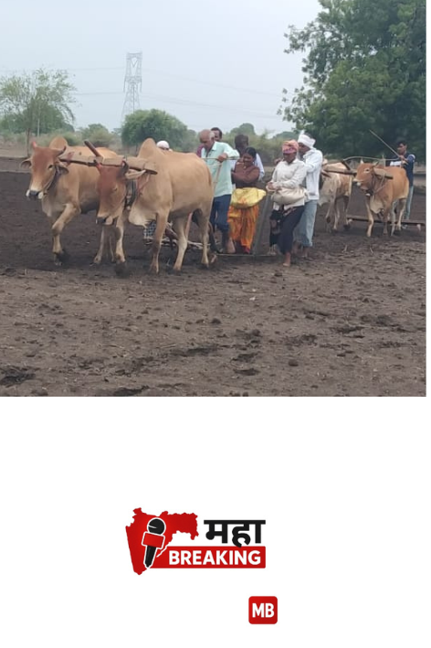 Half the taluka sees rain