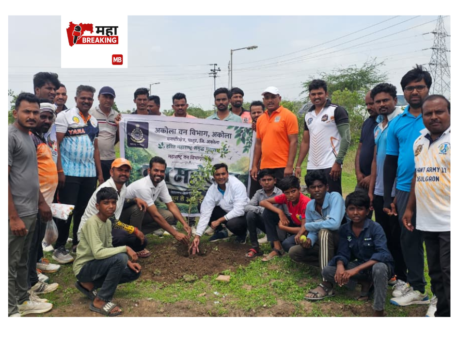 'One Tree, One Pledge