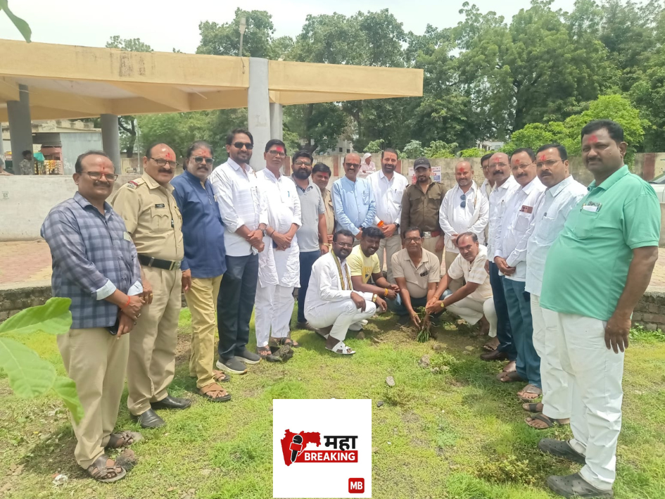 Tree plantation